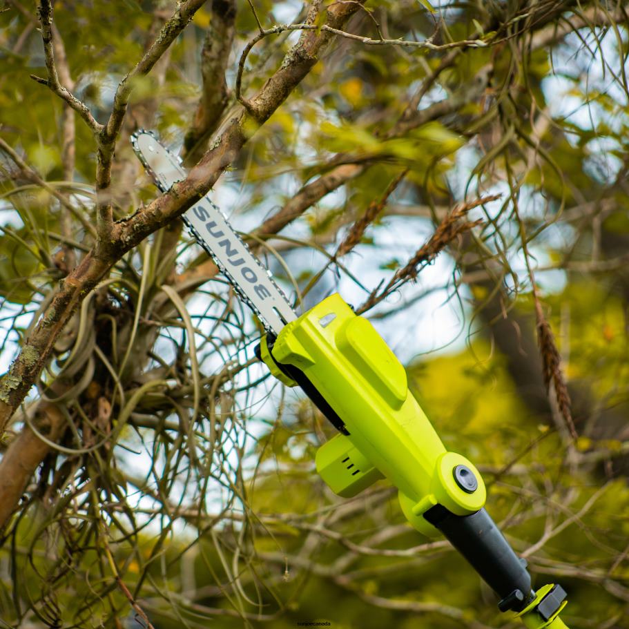 Tools | Sun Joe 24V-PS10-CT 24-Volt IONMAX Cordless Telescoping Pole Chainsaw | Tool Only | 10-inch X862F751