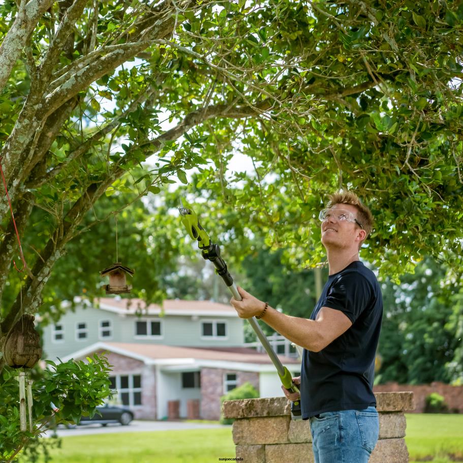 Tools | Sun Joe 24V-LRPL2-CT 24-Volt IONMAX Cordless Handheld and Long-Reach Pruner and Lopper | Tool Only X862F187